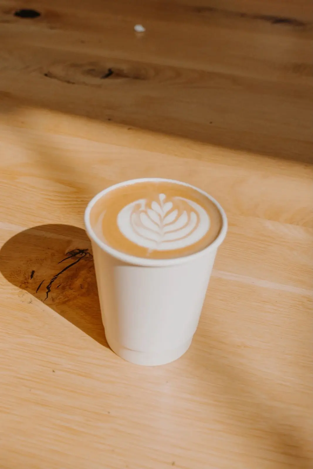 A latte with rosetta art on a sunlit wood table